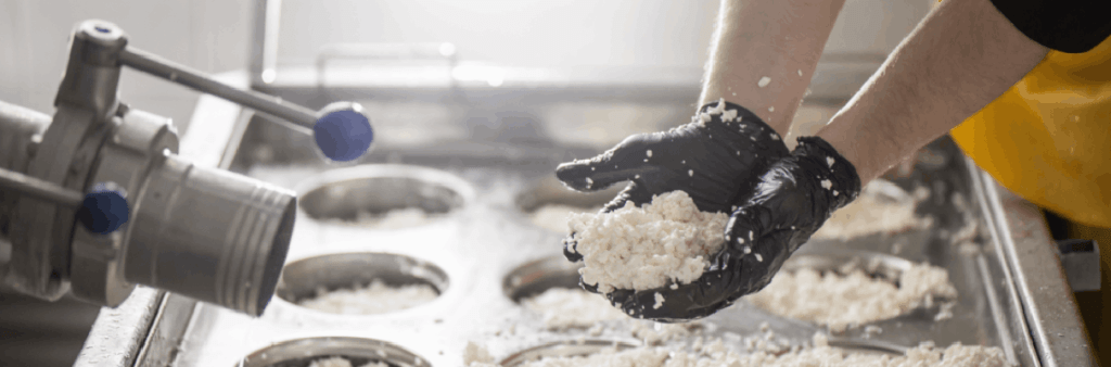 How Starch Manufacturers Support Multiple Industries Beyond Food Processing